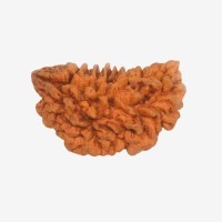 RUDRAKSHA